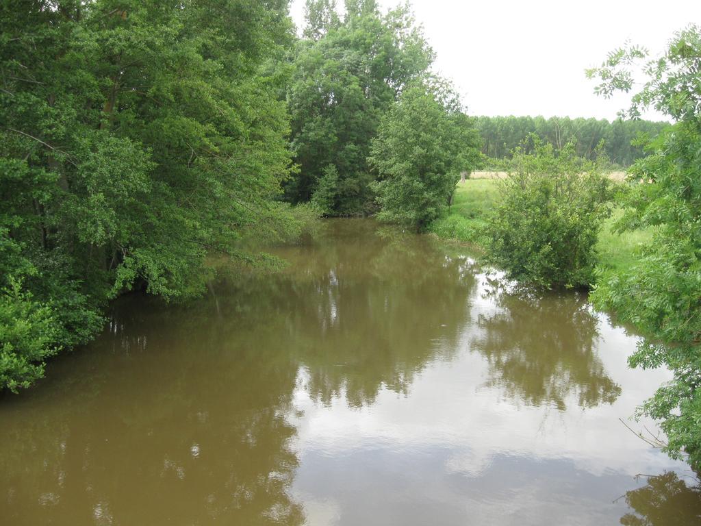 Moitron-sur-SartheLe Petitepinay住宿加早餐旅馆 外观 照片